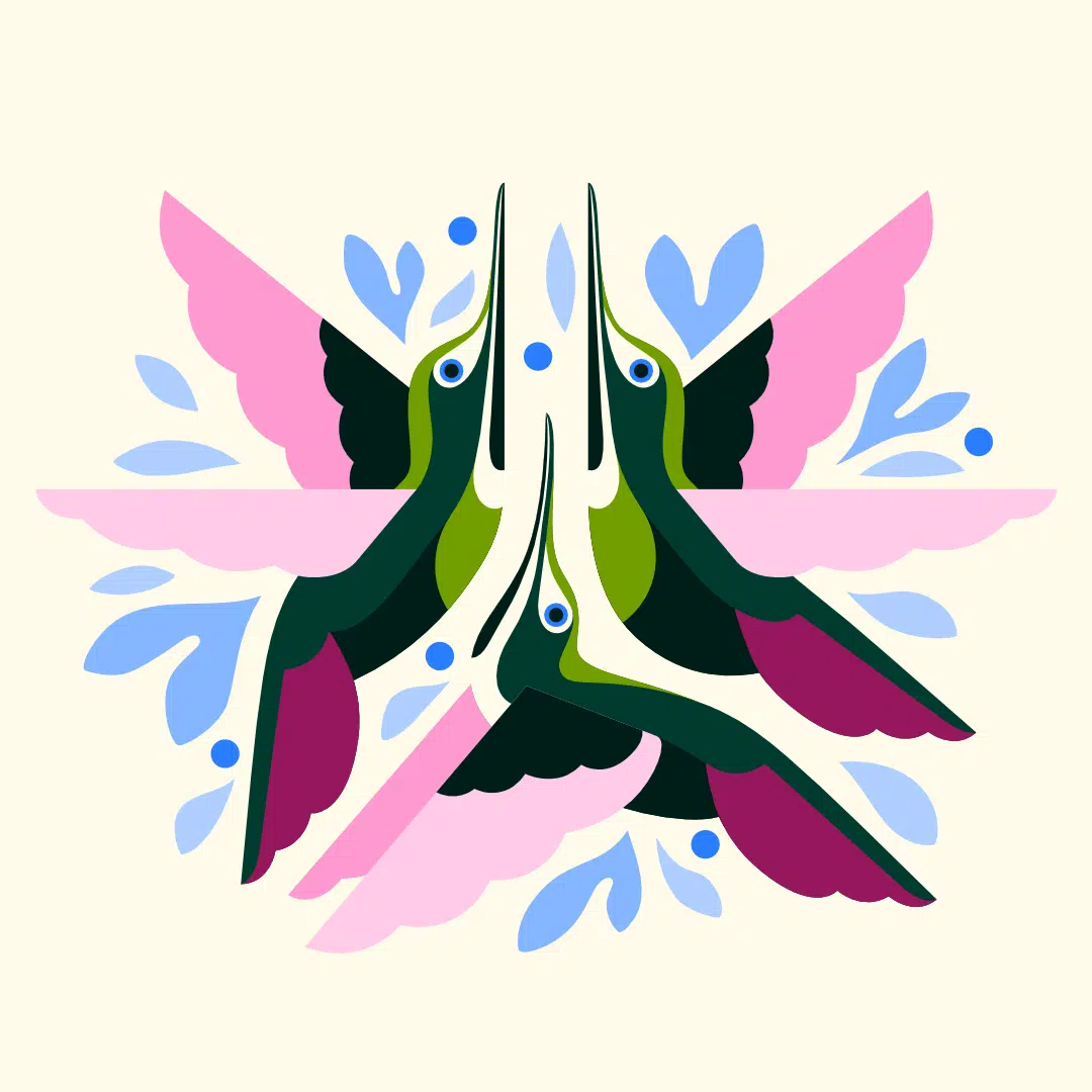 kolibry